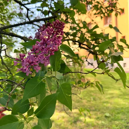 Appartement Bytecek U Nadrazi